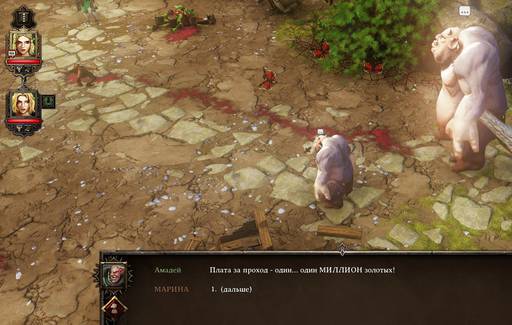 Divinity: Original Sin - Divinity:Original Sin: Две лучницы.